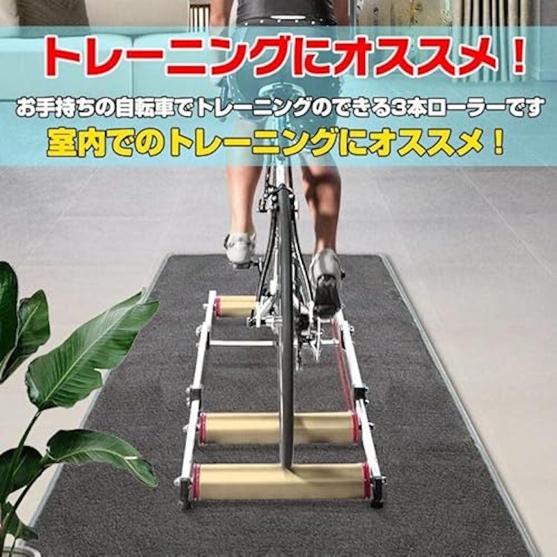 サイクルトレーナー 3