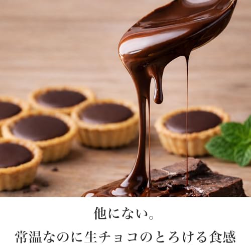 乳酸菌 チョコロン 3