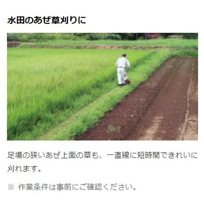 コンパクトハンマーモア 3