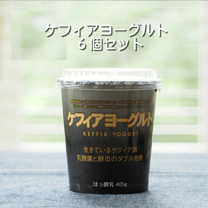 ケフィアヨーグルト 1