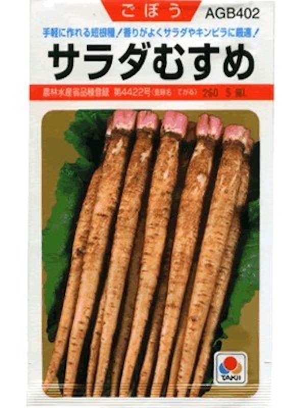 ゴボウ 1
