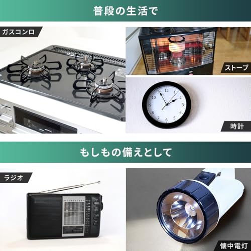アルカリ乾電池 単1形 BIGCAPA basic+ 4