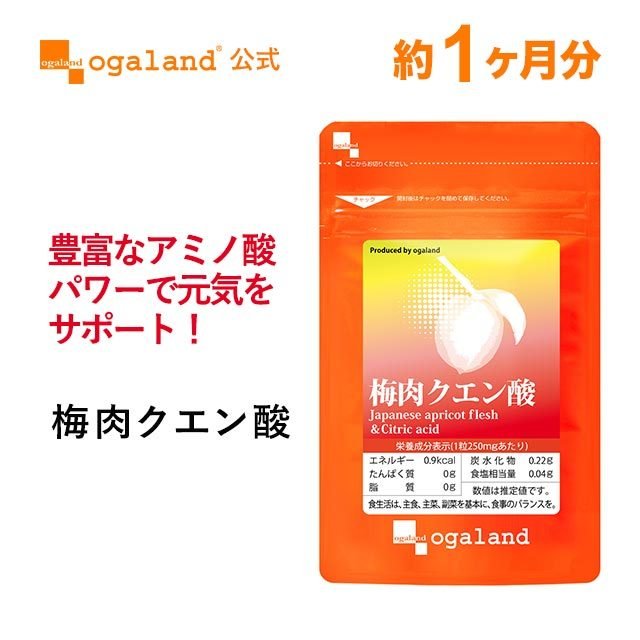 市場 送料無料 愛飲者数１位 クエン酸 粒白 10袋おまとめ買いでお得