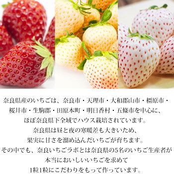 三色いちご 金色玉手箱 7