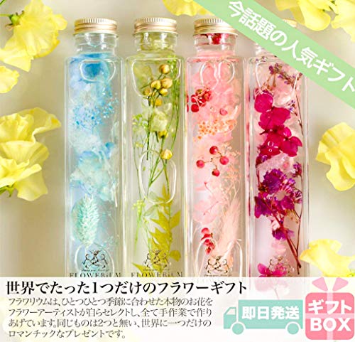 ◆ハーバリウム　264　真っ白なジニアとナチュラルなお花 ◇ハーバリウム 264 真っ白なジニアとナチュラルなお花