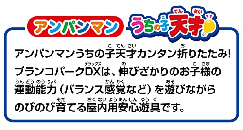うちの子天才 カンタン折りたたみ！ブランコパークDX 3