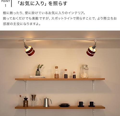 スポットライト 1灯 レダダクト 3