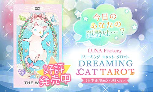 ドリーミング キャット 2