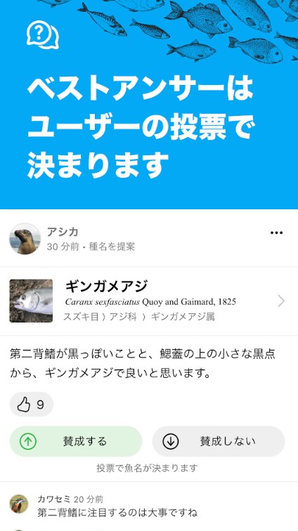 魚みっけ 5
