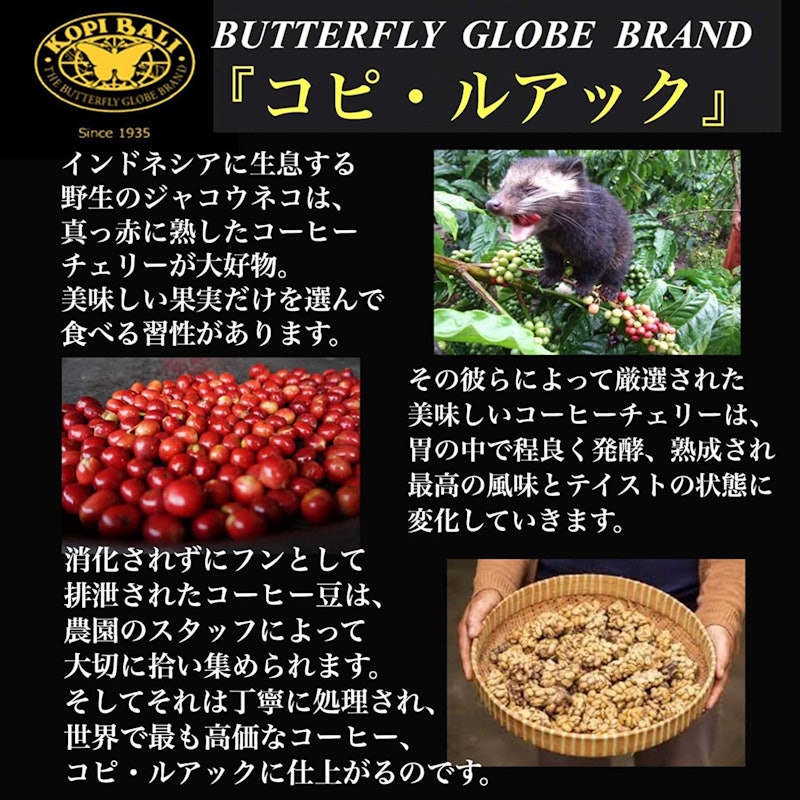 KOPI LUWAK 3