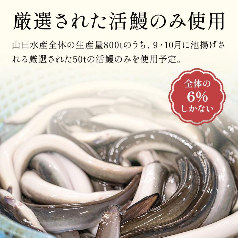 うなぎ蒲焼き 7