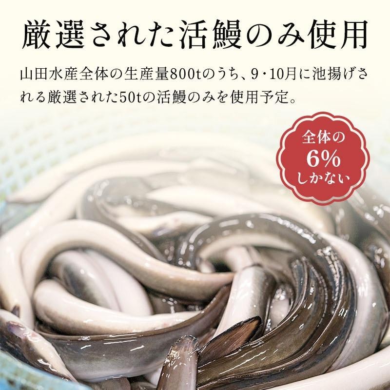 うなぎ蒲焼き 7