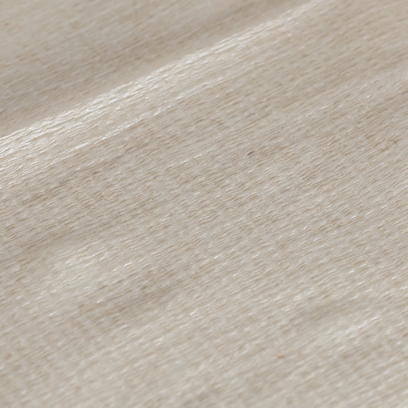 キッチンペーパー（Paper towel） 5