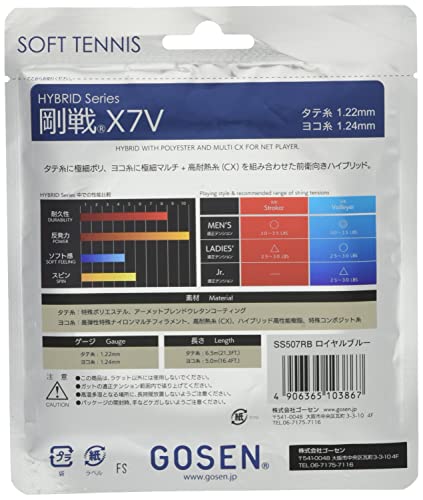 剛戦X7V 2