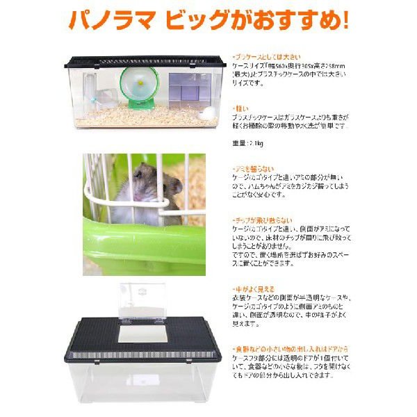 パノラマビッグ 3