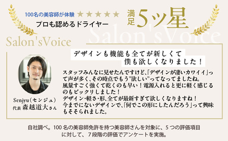 KINUJO Hair Dryer 4