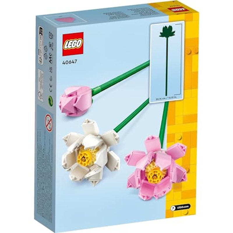 ハスの花 3