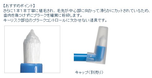 プラウト 5