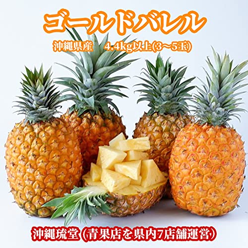 沖縄県産ゴールドバレル 2