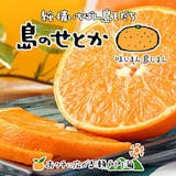 せとかみかんのおすすめ人気ランキング【2026年8月】 5
