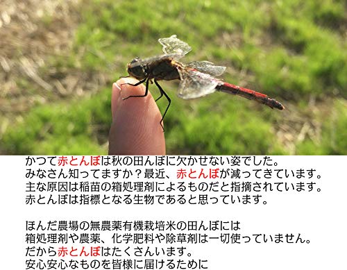 EM農法有機栽培米 水の精 2
