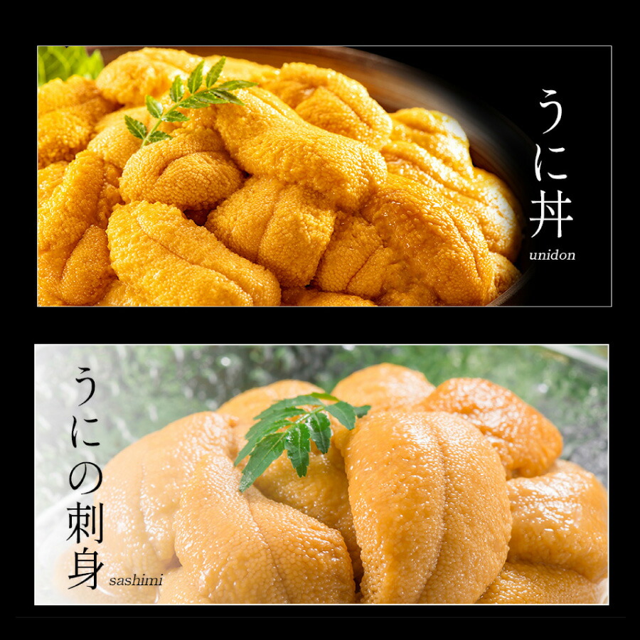 北海道産塩水ムラサキウニ 6