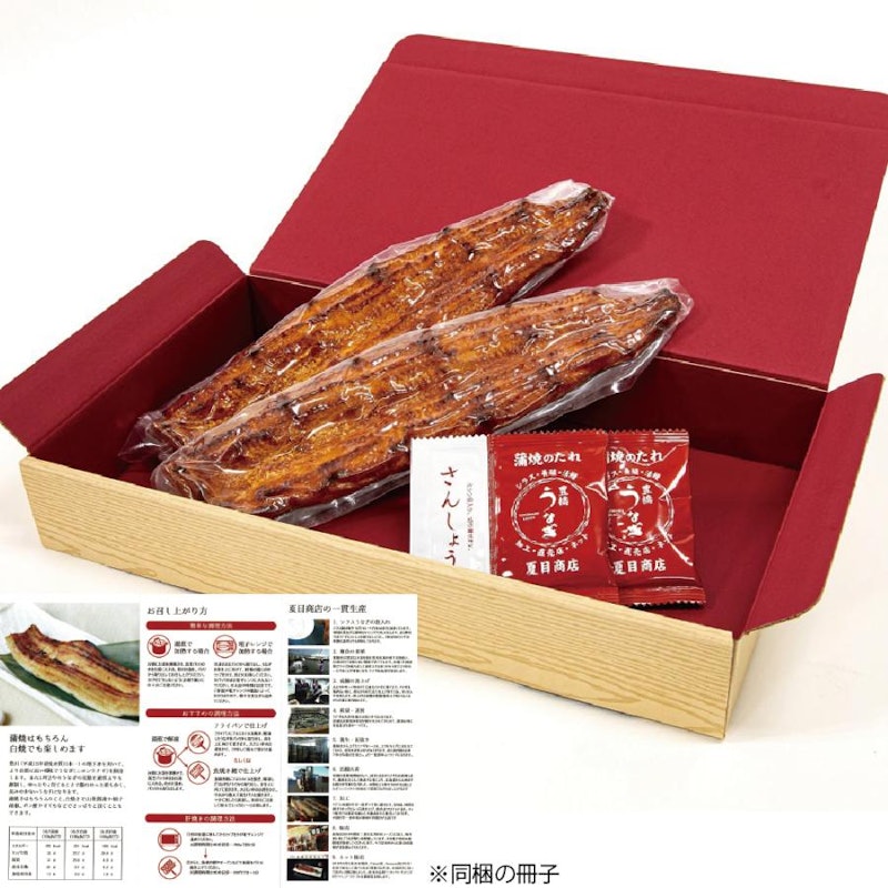豊橋うなぎ 2