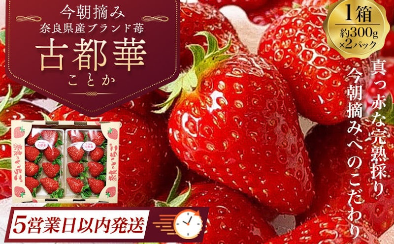 古都華 1