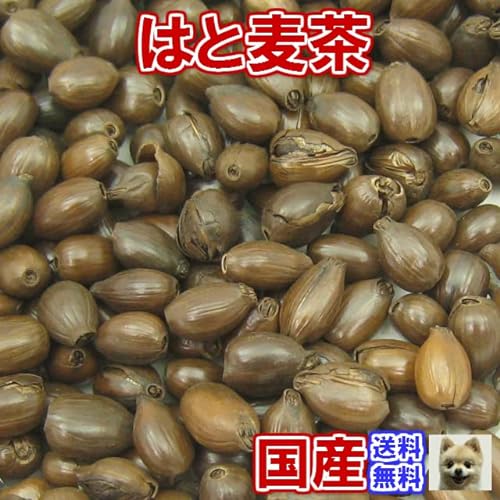 はと麦茶 国産 A級品 2