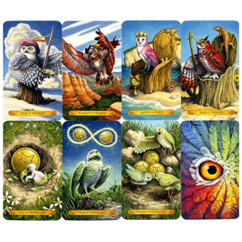 TAROT OF THE Owls 3