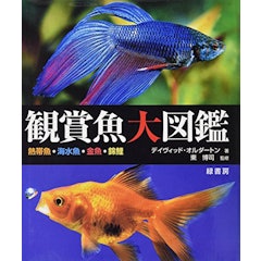 21年 熱帯魚図鑑のおすすめ人気ランキング10選 Mybest 21年 熱帯魚図鑑のおすすめ人気ランキング10選 Mybest