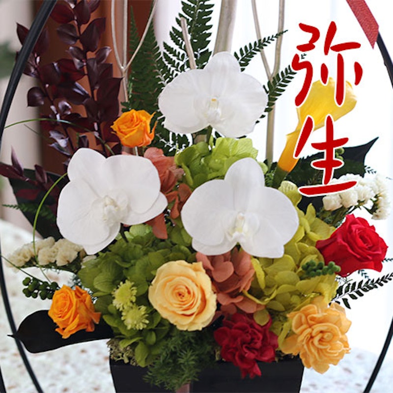 結び胡蝶蘭 3