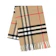 Burberry GIANT CHECK 1