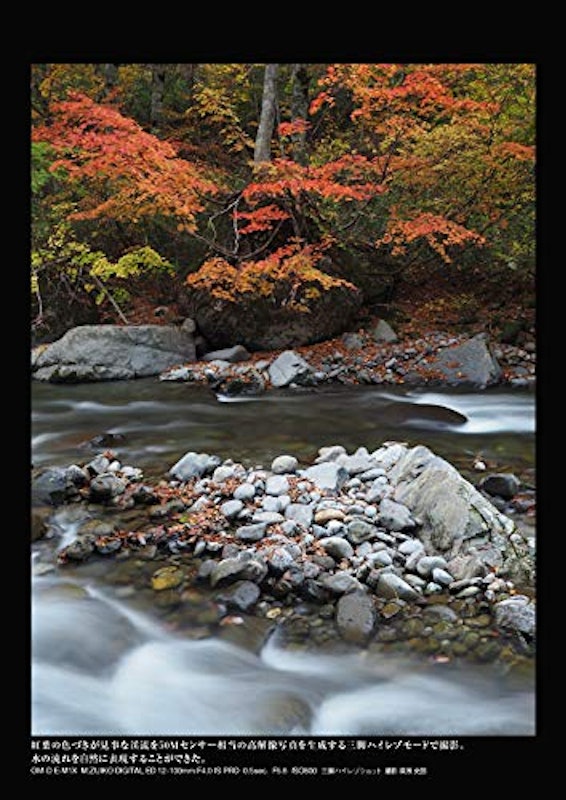 OM-D E-M1X 5