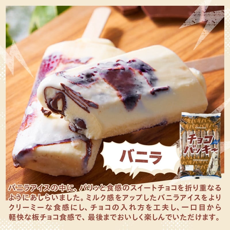 シャトレーゼ バニラ&チョコアイスバラエティセット 2