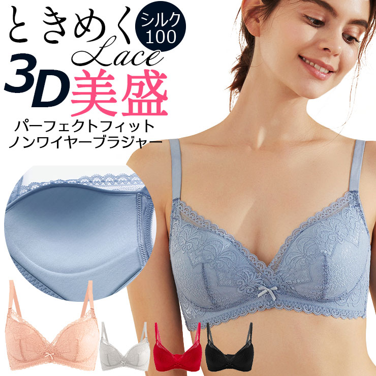 ブラジャー 1