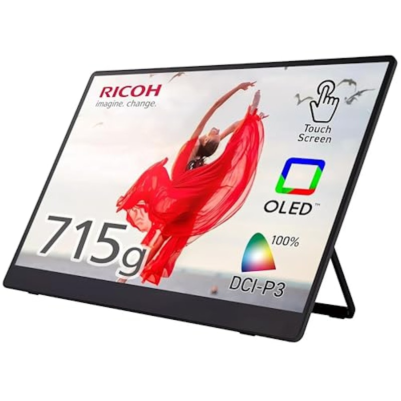 Portable Monitor 150BW 1