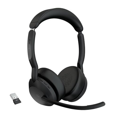ぱんなこったさま Bluetoothヘッドセット Explorer500 ぱんなこったさま Bluetoothヘッドセット Explorer500 Amazon