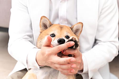 肉球保護クリーム 6