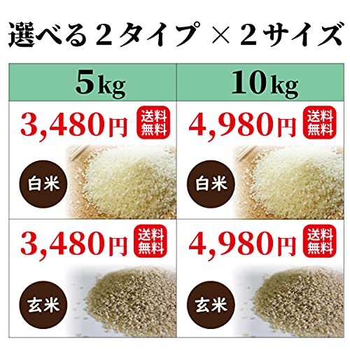 棚田米 ひのひかり（白米） 5