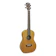 日本娯楽 MB Baritone 1