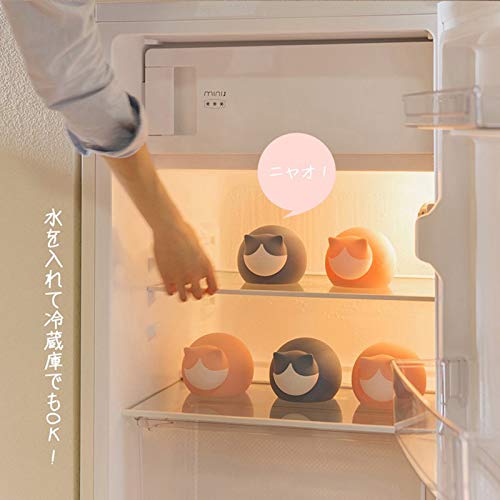 猫湯たんぽ 4