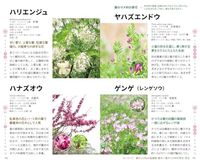 見わけがすぐつく花図鑑 5