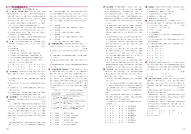 政経+公共問題集 大学入学共通テスト 改訂版 5