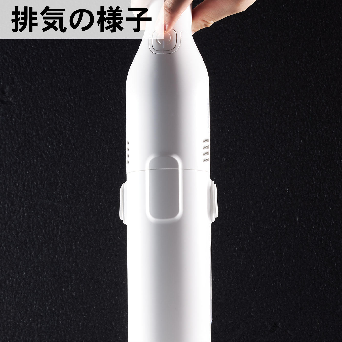 レイコップ RGO-100JP WH レイコップ RAYCOP GO ‎RGO-100JPWHを検証