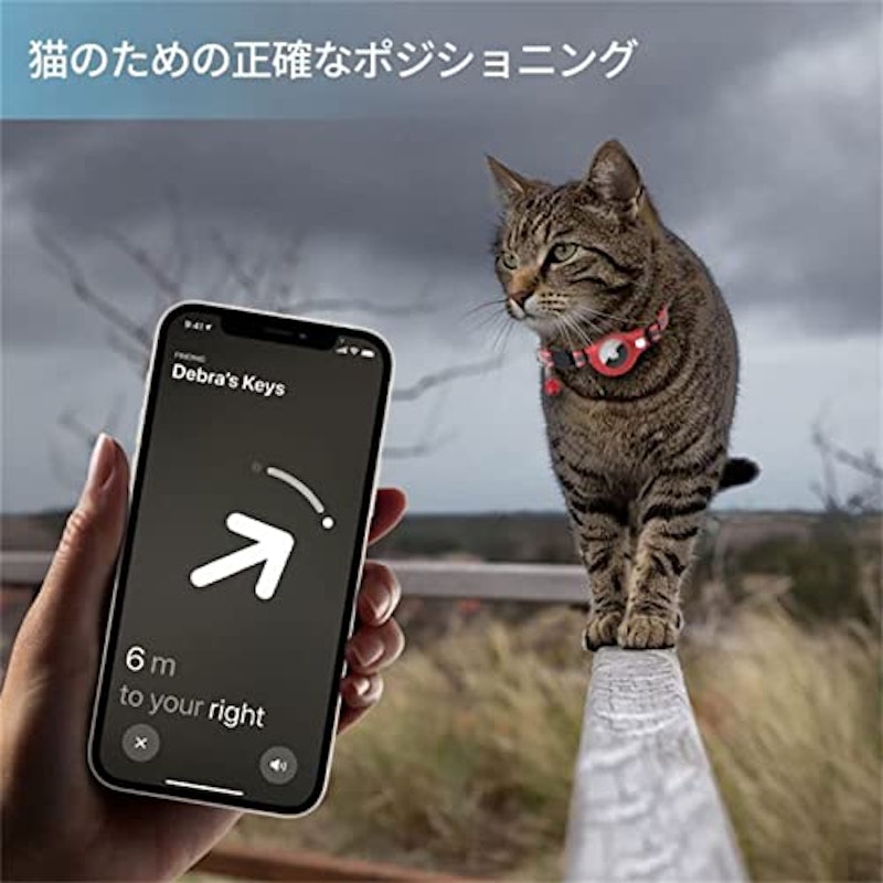 猫用首輪 6
