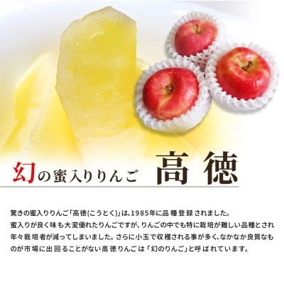 蜜入りりんご高徳 ギフトBOX入 3