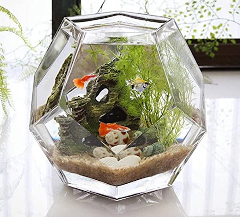 金魚鉢 3