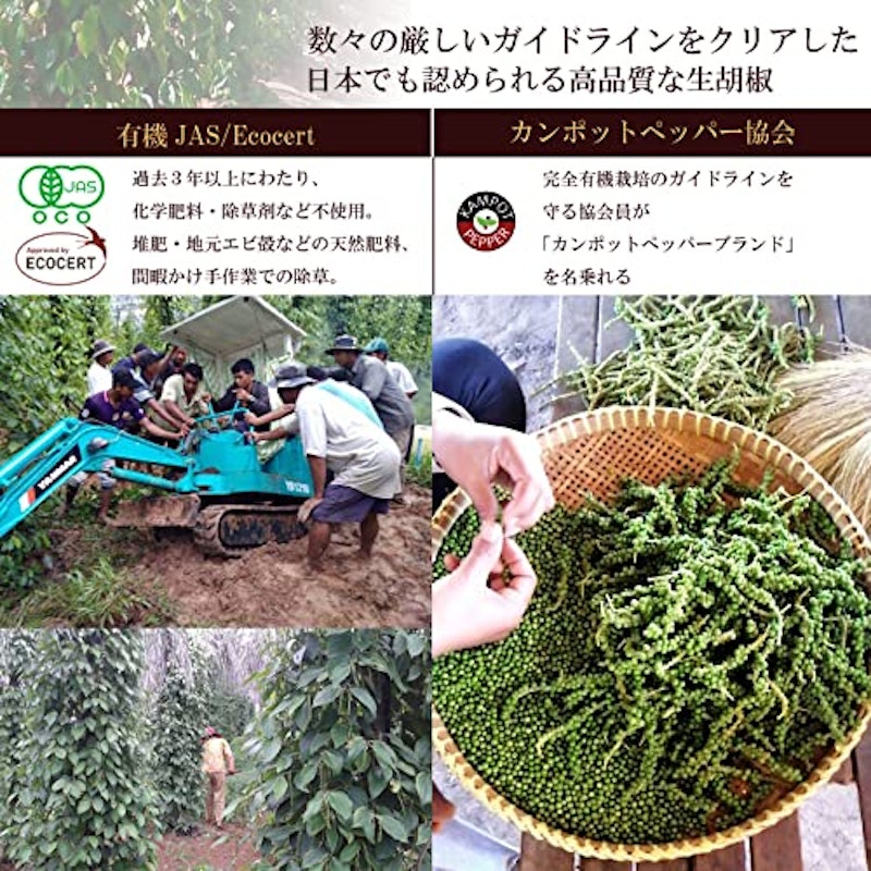 有機黒胡椒 黒の衝撃 4
