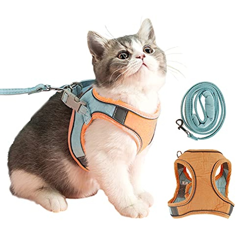 22年 猫用ハーネスのおすすめ人気ランキング25選 Mybest 22年 猫用ハーネスのおすすめ人気ランキング25選 Mybest
